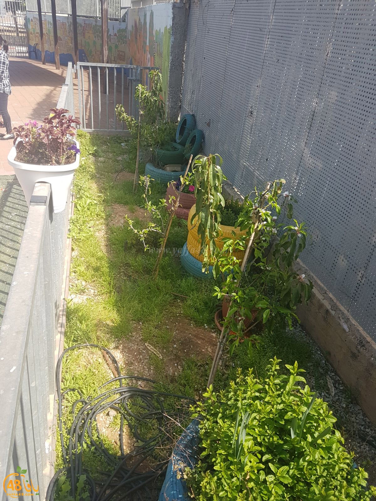 a3malkhayeret (12).jpg